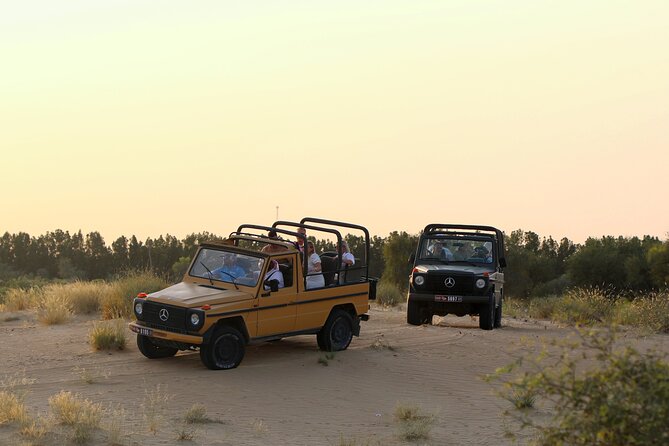 Dubai: Morning Heritage Safari by Vintage G Class & Al Marmoom Oasis - Price and value: what $134 buys you in 4 hours