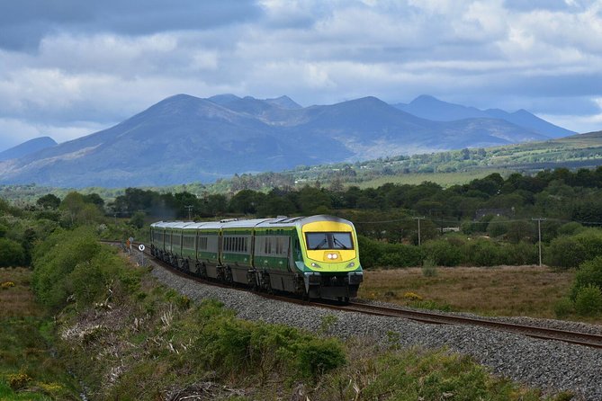 Dublin to Cork, Blarney Castle & Cóbh Heritage Centre by train - Who this trip fits best (and who should skip it)