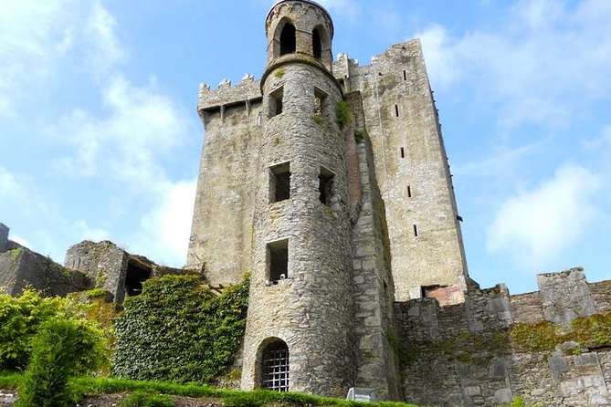 Dublin to Cork, Blarney Castle & Cóbh Heritage Centre by train - Kissing the Blarney Stone: timing, lines, and how to manage it