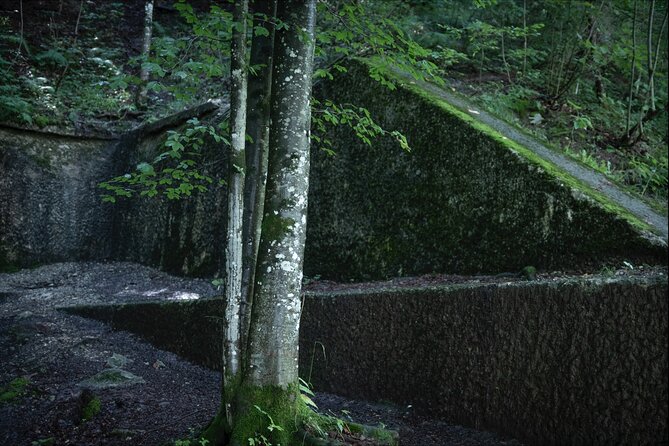 Eagle's Nest-Berchtesgaden-Obersalzberg Private Half Day WWII Historical Tour - The guide matters more than you think (and yes, it shows in the details)