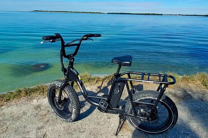 Electric Bike Wildlife & History Tour along Fort De Soto's Beaches - Stop 1: East Beach sights and the North Beach snack break