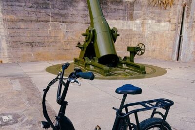 Electric Bike Wildlife & History Tour along Fort De Soto's Beaches - Price and what you actually get for $75