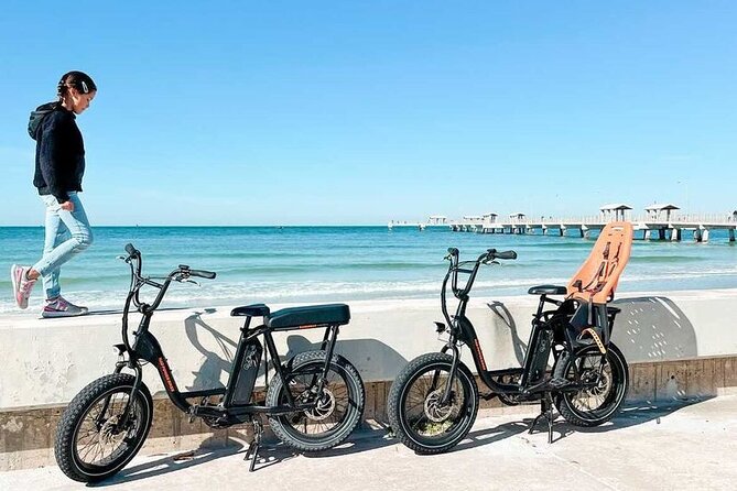 Electric Bike Wildlife & History Tour along Fort De Soto's Beaches - Stop 2: Historic Fort Desoto, cannons, and abandoned rooms