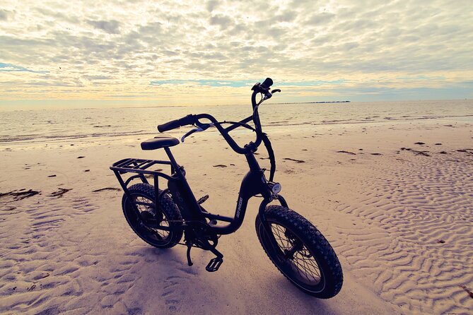 Electric Bike Wildlife & History Tour along Fort De Soto's Beaches - E-bikes, helmets, and the small-group difference