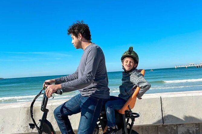 Electric Bike Wildlife & History Tour along Fort De Soto's Beaches - Mosquitoes and weather: the two real-world considerations