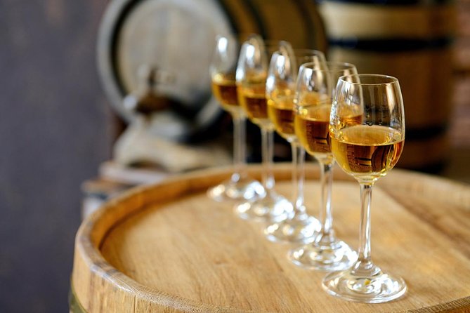 Évora Wine & Heritage Tour from Lisbon - Who This Évora Wine & Heritage Day Trip Suits