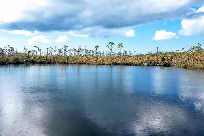 Florida Keys Nature & History Tour from Key West - Blue Hole Stop: Wildlife in a Small, Eco-Diverse Water Stop