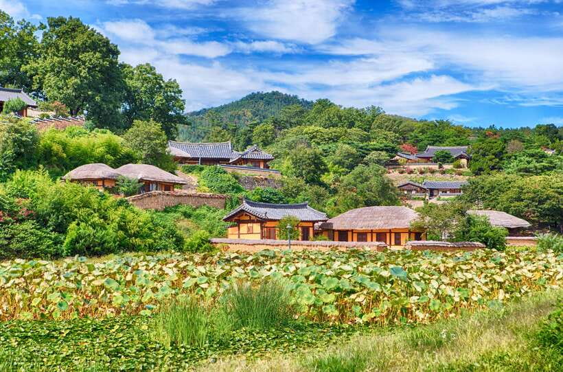 From Busan: Gyeongju UNESCO World Heritage Guided Day Tour - Timing, Pacing, and What to Pack (So the Day Feels Good)