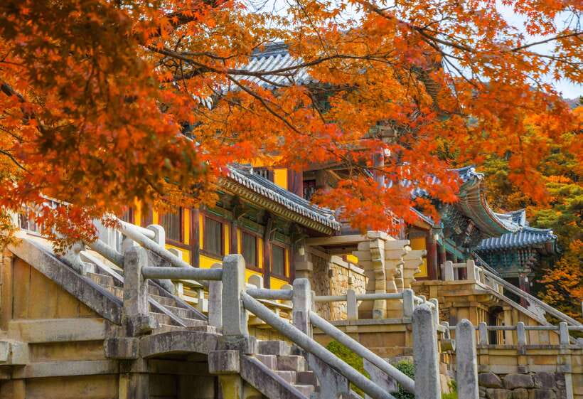 From Busan: Gyeongju UNESCO World Heritage Guided Day Tour - Yangdong Village vs Gyochon Village: Two Ways to Read Old Korea