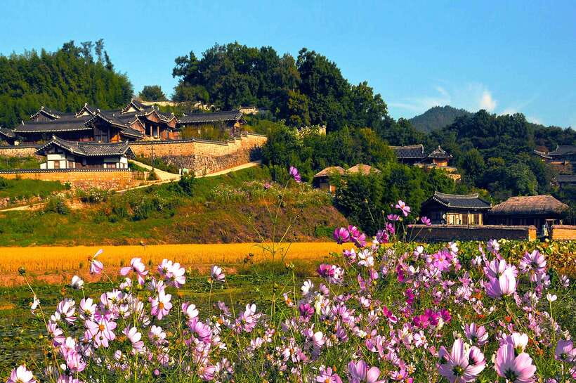 From Busan: Gyeongju UNESCO World Heritage Guided Day Tour - Daereungwon Royal Tomb Complex: Silla Power, Up Close