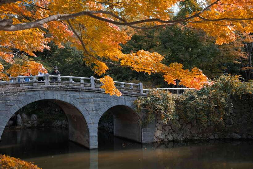 From Busan: Gyeongju UNESCO World Heritage Guided Day Tour - Hwangnidan-gil: Where Old Street Energy Meets Modern Snacks