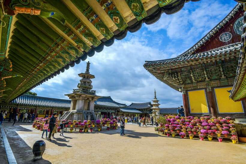 From Busan: Gyeongju UNESCO World Heritage Guided Day Tour - Woljeonggyo Bridge at Night: The Photo Stop That Sells the Whole Tour