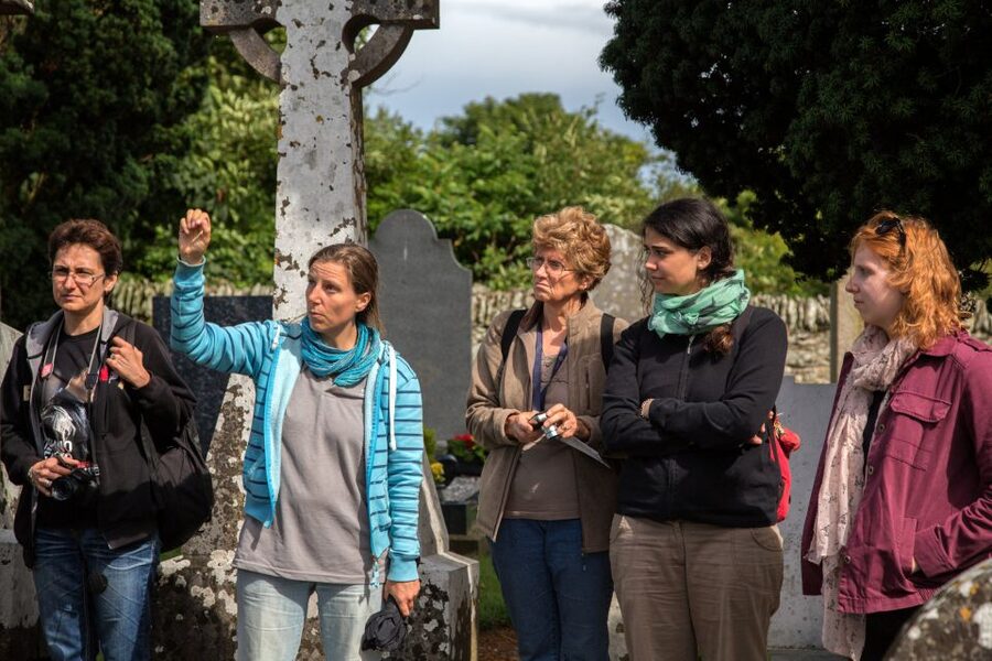From Dublin: Celtic Boyne Valley and Ancient Sites Tour - A One-Day Circuit of Ireland’s Royal, Medieval, and Christian Sites