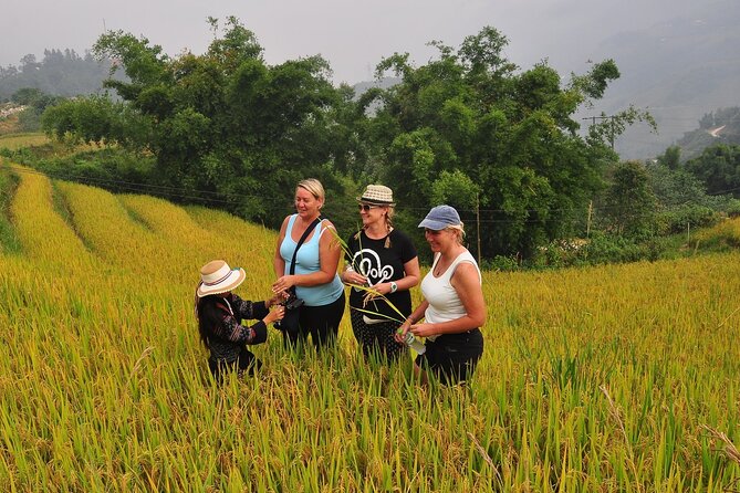 From Hanoi : Sapa Moutain Trek - Halong bay Heritage - Sapa and Halong in one trip: why this combo works