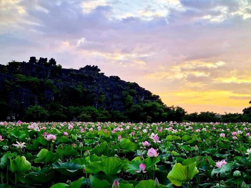 From Hanoi: Trang An eco-tourism - Hoa Lu ancient & Mua Cave - Price and Value: Why $42 Can Be a Good Deal for This Mix