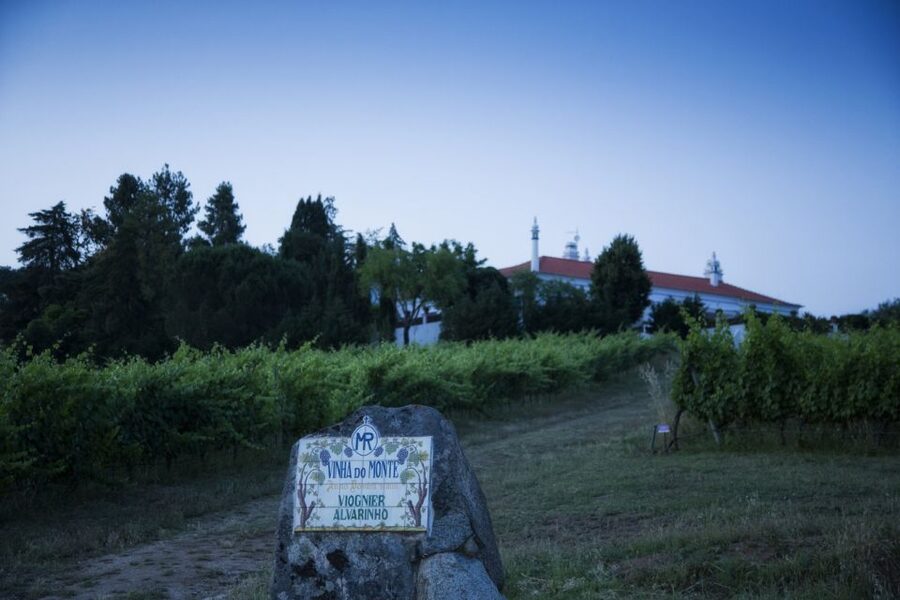 From Lisbon: Évora Wine & Heritage Tour - Who this tour suits best (and who should skip it)
