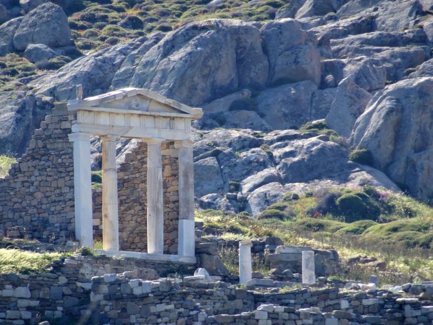From Mykonos: Ancient Delos Tour - The Guided Walk Across Delos: Agora, Sacred Way, Temple of Apollo