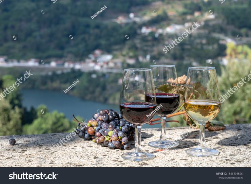 From Porto: Full-Day Douro Historical Tour - Key Things to Know Before You Go
