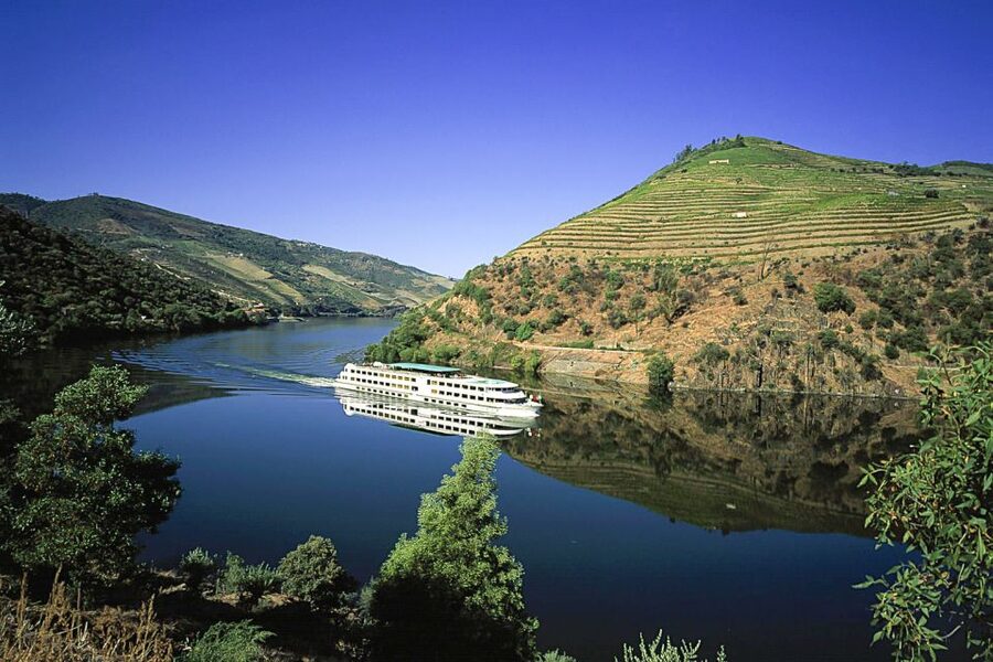 From Porto: Full-Day Douro Historical Tour - Why the Douro Valley Day Trip Works So Well from Porto