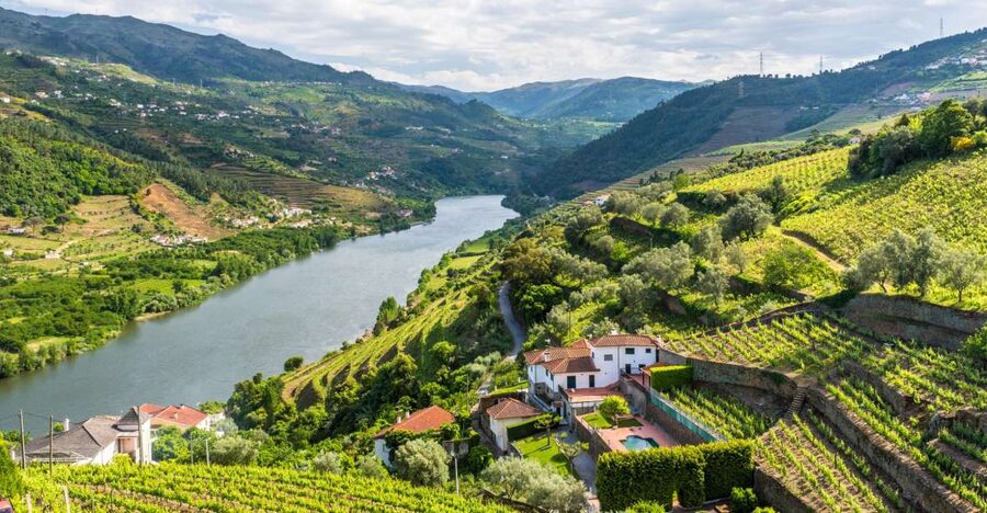 From Porto: Full-Day Douro Historical Tour - Amarante Stop: Monastery of Saint Gonçalo and Riverside Time