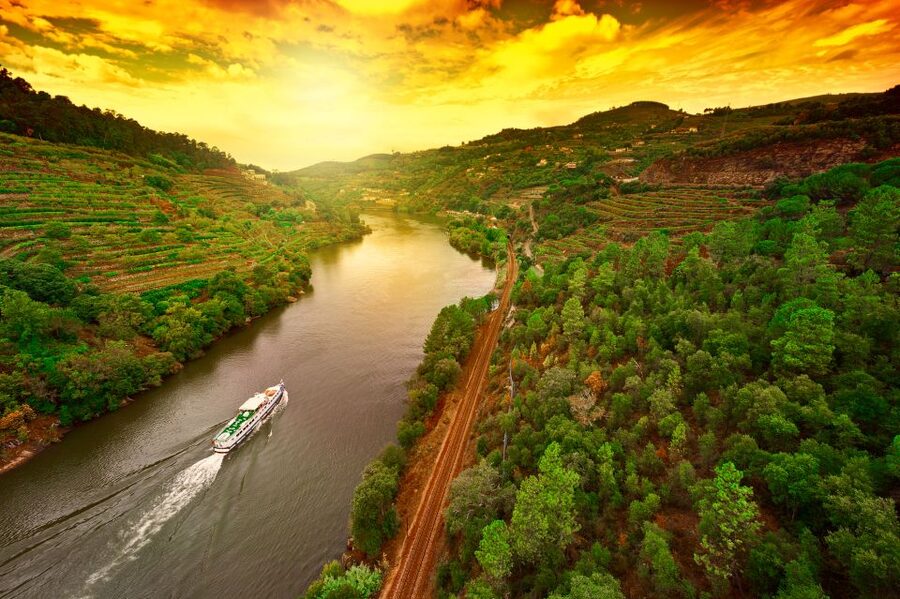 From Porto: Full-Day Douro Historical Tour - Douro Wine Tasting in the Alijó Hills: What You’re Really Getting