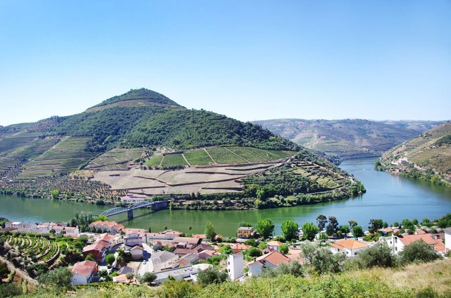 From Porto: Full-Day Douro Historical Tour - Should You Book This Full-Day Douro Historical Tour?