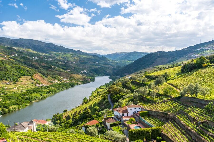 From Porto: Full-Day Douro Historical Tour - Getting to the Meeting Point near São Bento Station