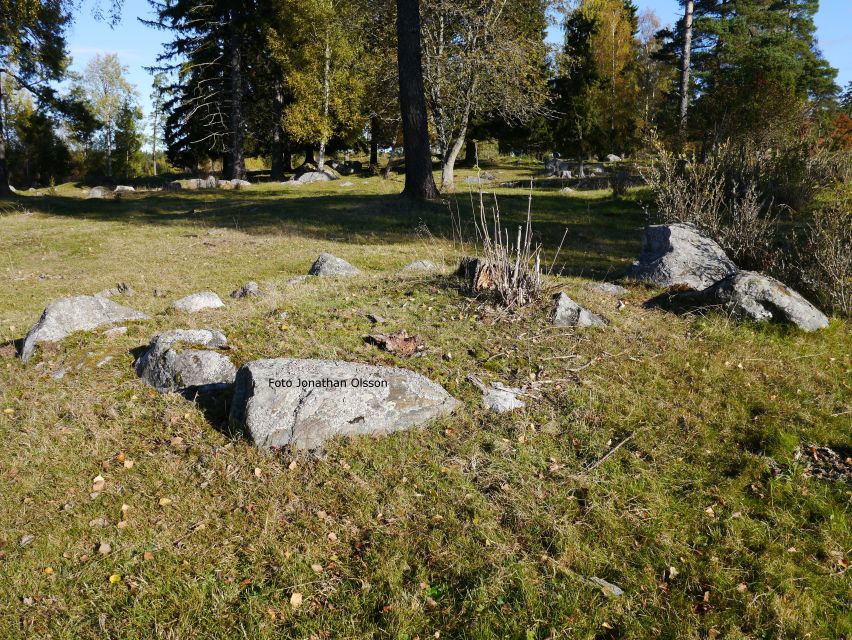 From Stockholm: Viking Culture and Heritage Small Group Tour - Arkils tingstad: seeing the remains of a Viking parliament
