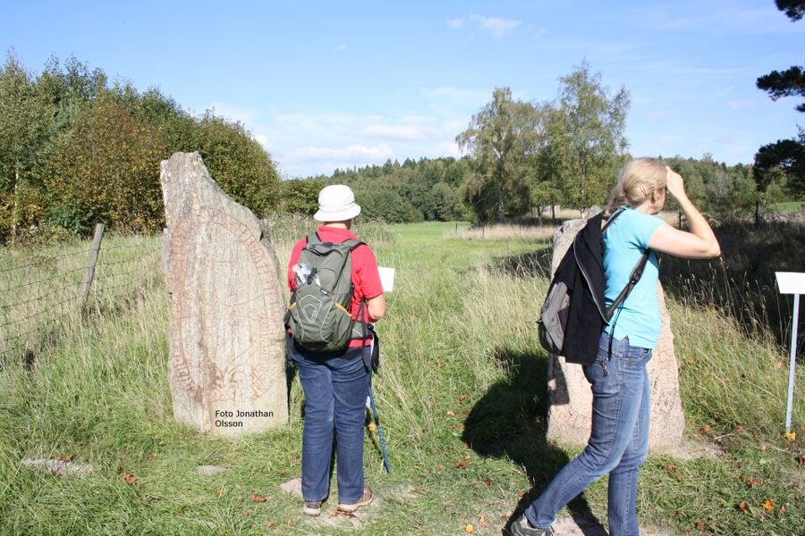 From Stockholm: Viking Culture and Heritage Small Group Tour - The countryside between stops: the view is part of the lesson