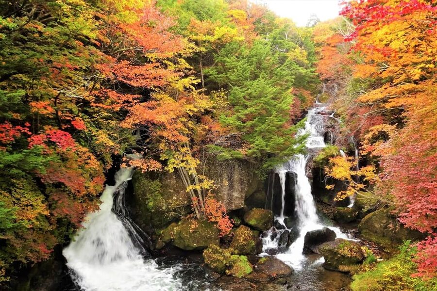 From Tokyo: Nikko World Heritage Site Private Full-Day Trip - Key things I’d bet you’ll care about
