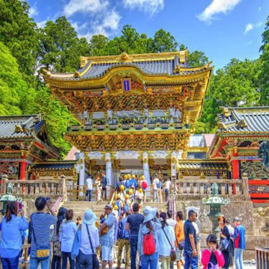 From Tokyo: Private Nikko World Heritage Sights One Day Trip - Food, timing, and comfort tips that make a big difference