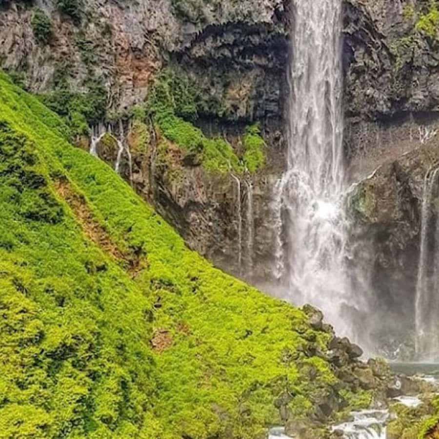 From Tokyo: Private Nikko World Heritage Sights One Day Trip - Kegon Falls: choosing how close you get