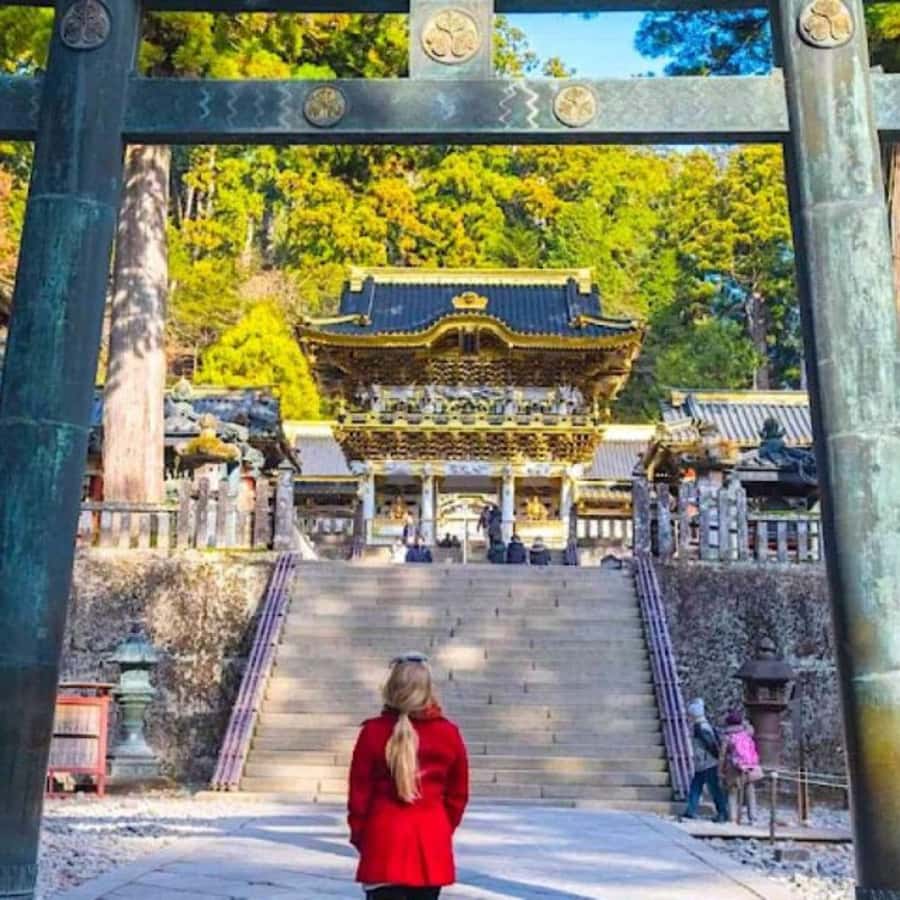 From Tokyo: Private Nikko World Heritage Sights One Day Trip - The additional included stops: Tochigi Prefecture and Edo Wonderland