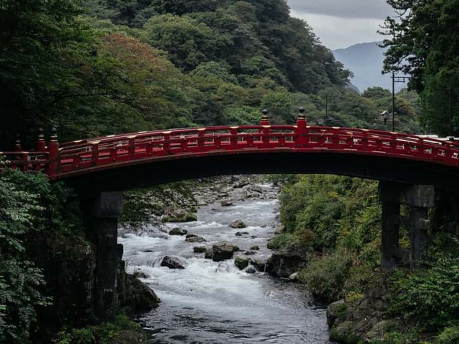 From Tokyo: Private Nikko World Heritage Sights One Day Trip - Price and value: $399 for up to 6 people