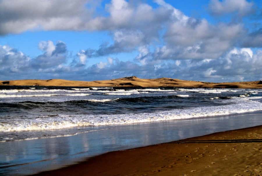 From Walvis Bay: Sandwich Harbour World Heritage Site - Key highlights to know before you go