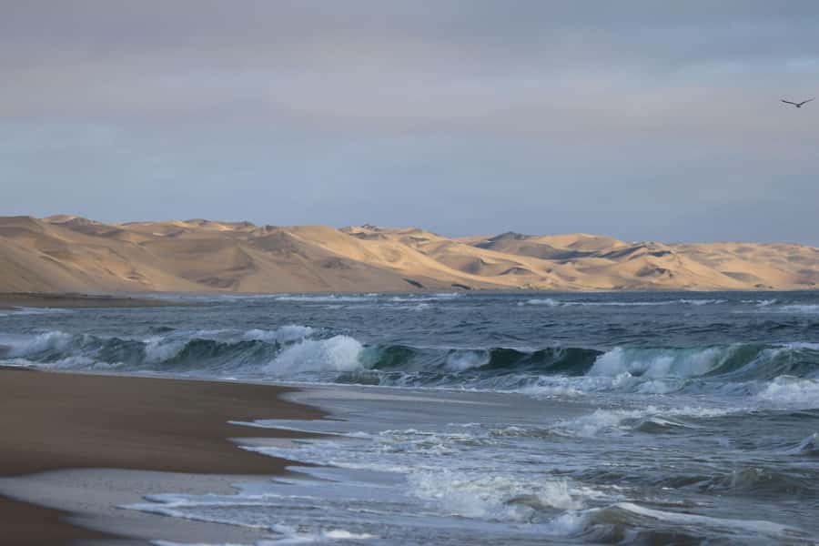 From Walvis Bay: Sandwich Harbour World Heritage Site - 4x4 Driving Through Namibia’s Wetlands (And Why It’s Worth It)