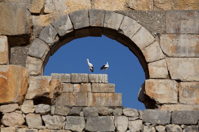 Full-Day Historical Tour to Meknes Volubilis and Moulay Idriss - Stop 1: Volubilis Roman Ruins (UNESCO) in About Two Hours