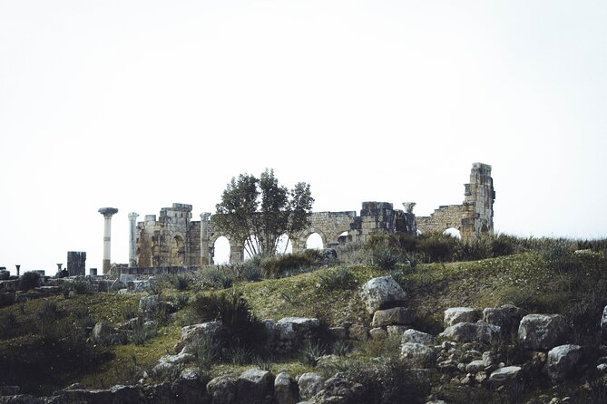 Full-Day Historical Tour to Meknes Volubilis and Moulay Idriss - Stop 3: Meknes Imperial Sights With El Hedim, Bab Mansour, and More
