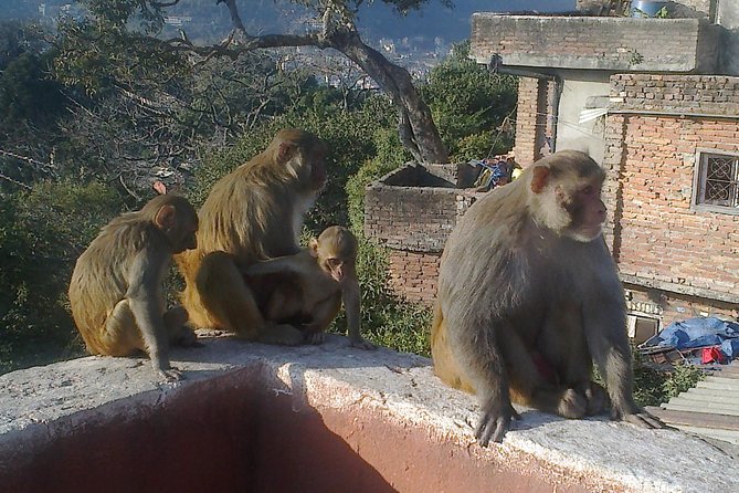 Full Day Kathmandu City Sightseeing Tour of UNESCO Heritage Sites - What kind of guide you’ll get (and why it matters)