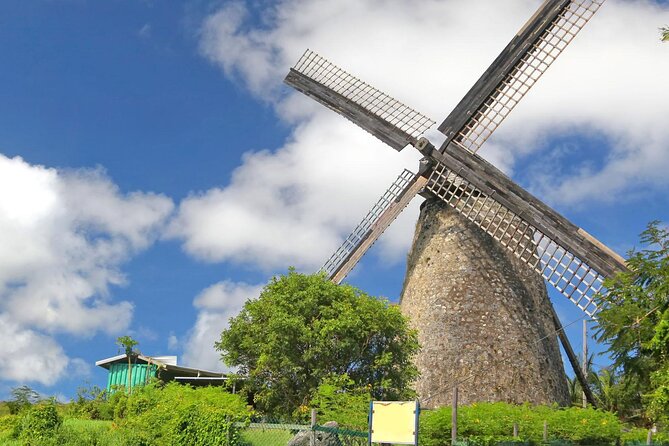 Full-Day Natural Heritage Tour in Barbados with Lunch - Barclays Park and the East Coast drive: where the views come in