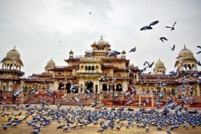 Full-Day Private Tour Heritage of Jaipur with Amber Fort - Getting started: 9:30 pickup, traffic, and mobile tickets