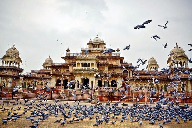 Full-Day Private Tour Heritage of Jaipur with Amber Fort - Getting started: 9:30 pickup, traffic, and mobile tickets