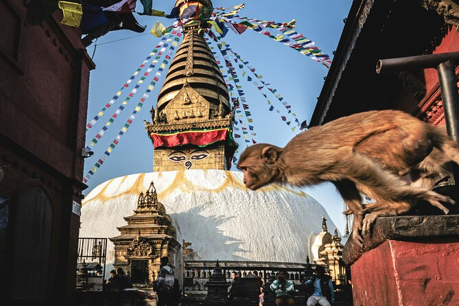 Full Day Private Tour of Kathmandu - UNESCO World Heritage Sites - Four UNESCO landmarks, one efficient 6-hour plan