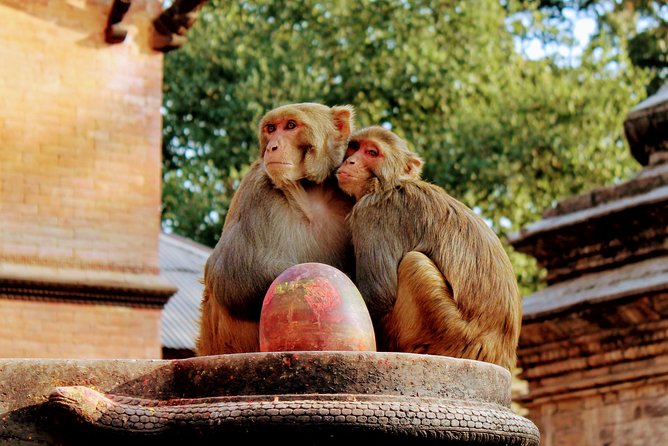 Full Day Private Tour of Kathmandu - UNESCO World Heritage Sites - Timing, tickets, and comfort tips that keep you from feeling rushed