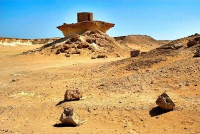 Full Day Qatar's North And West tour || History & Heritage - Al Thakhira Mangroves: Nature’s Coastal Shield in the Desert