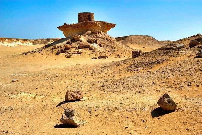 Full Day Qatar's North And West tour || History & Heritage - Al Thakhira Mangroves: Nature’s Coastal Shield in the Desert