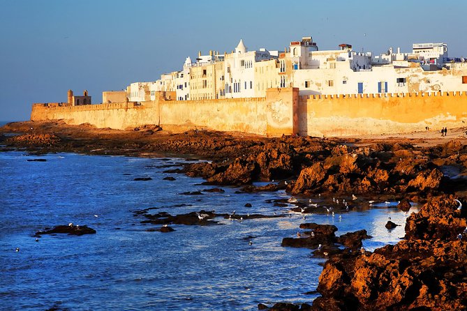 Full-Day Tour to Essaouira - The Ancient Mogador City from Marrakech - Key highlights worth marking on your map