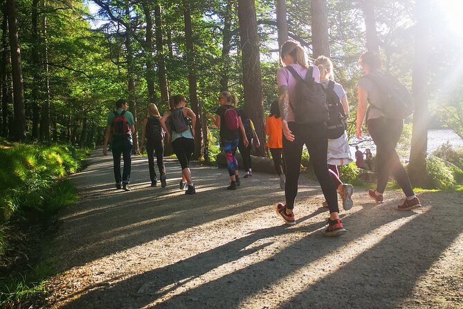 Glendalough Night Hike and History Tour - Guide Factor: Learning More Because You’re Walking