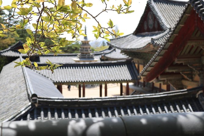 Gyeongju The UNESCO World heritage sites tour(Private tour) - Key Things You’ll Notice Right Away