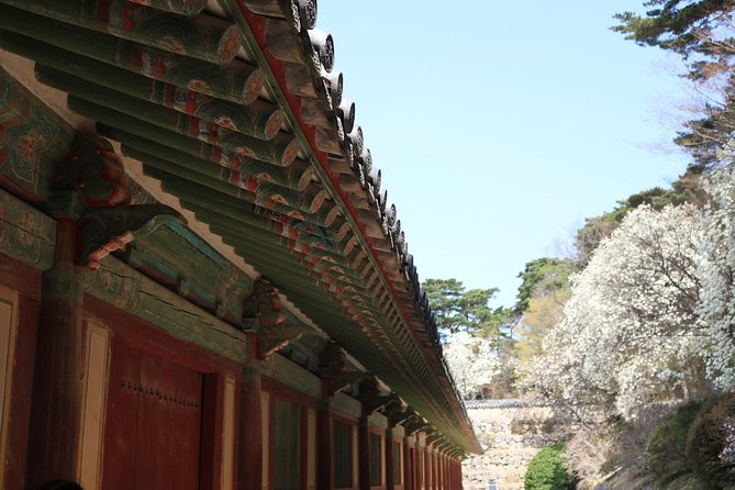 Gyeongju The UNESCO World heritage sites tour(Private tour) - Museum time at Gyeongju National Museum: Silla context without the roof
